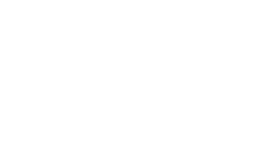 1undp